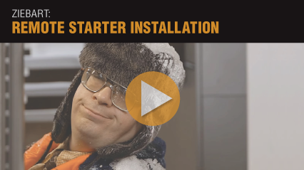 ziebart car starter price