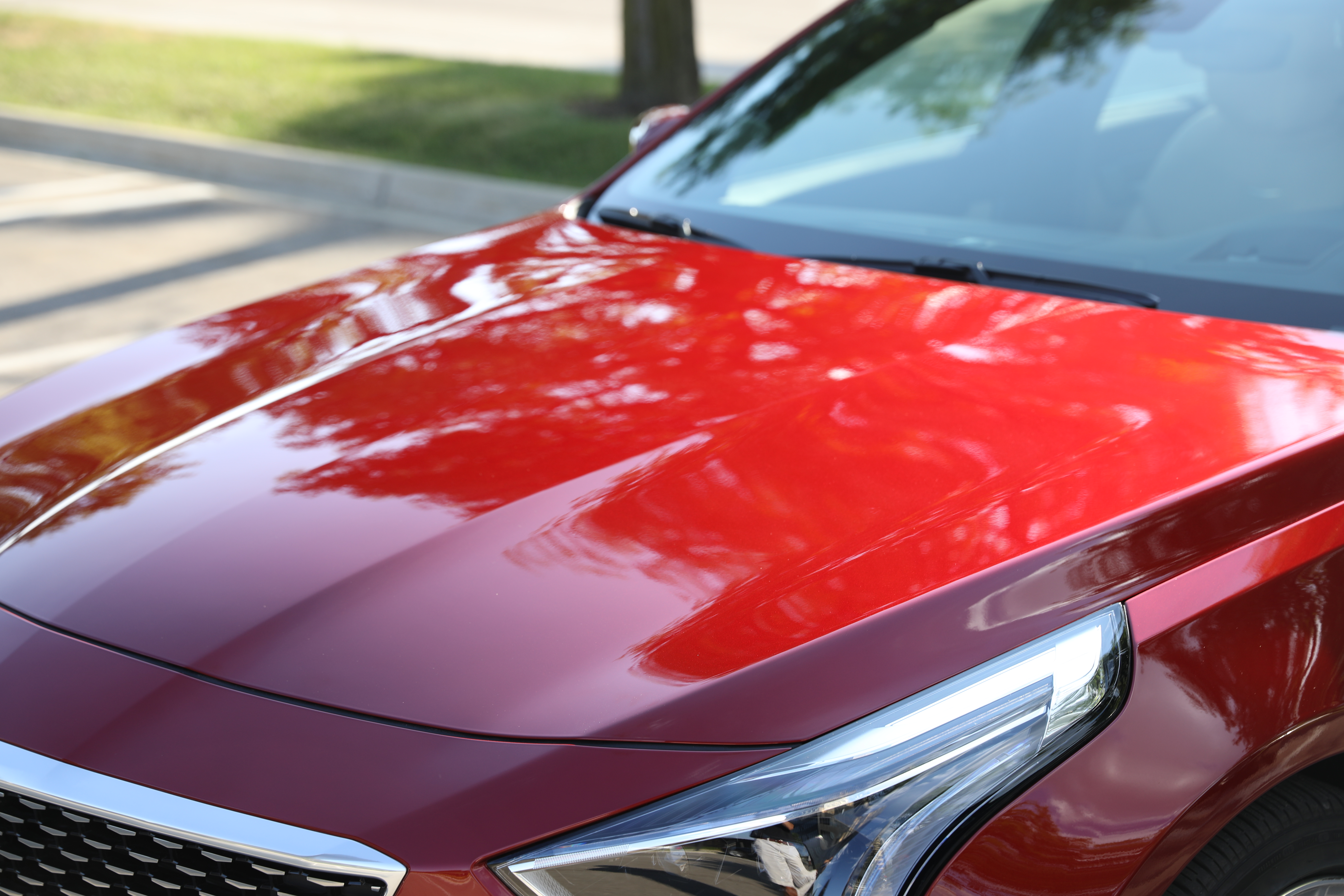 The Ultimate Guide to Paint Protection: How to Keep Your Car Looking New