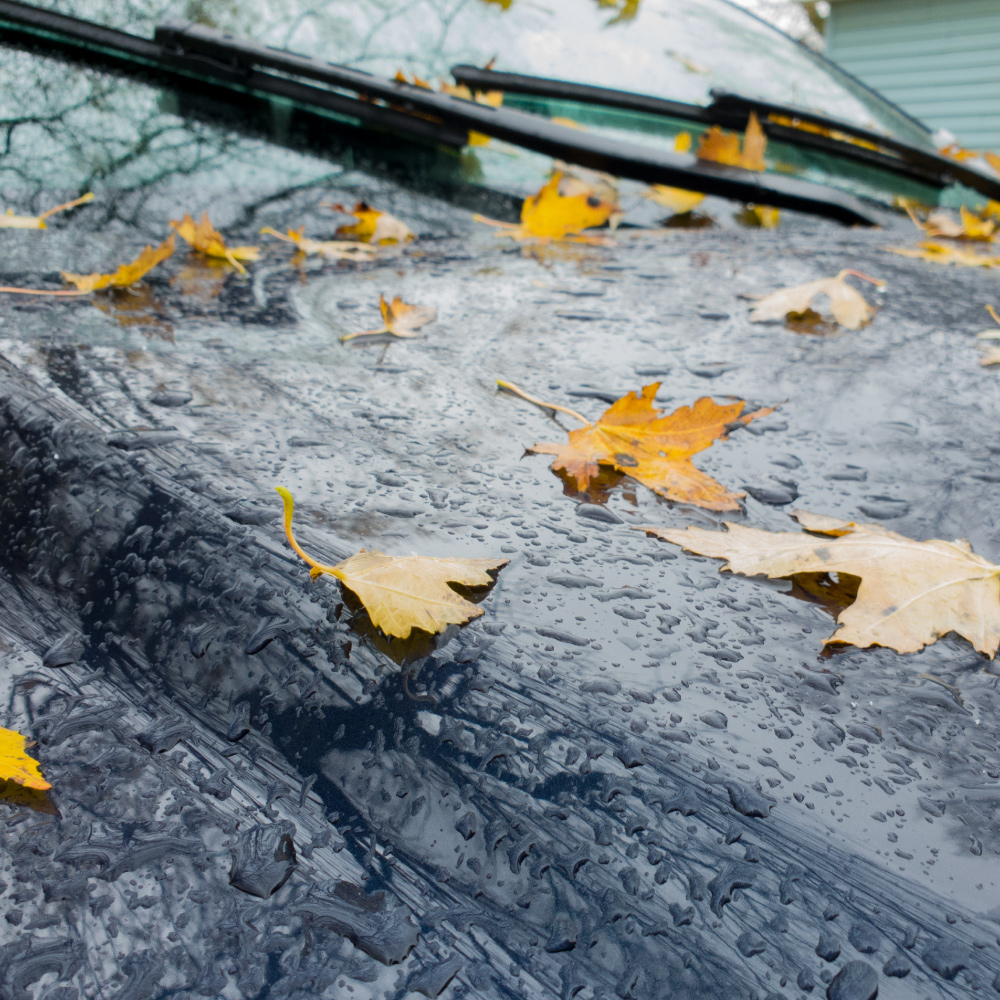 Fall Car Care Guide: Protect Your Ride Before Winter Hits