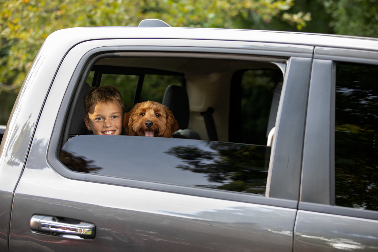 Boy with dog in truck