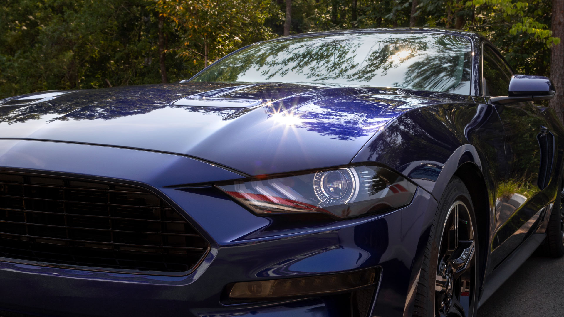 Everything You Need to Know about Ceramic Paint Coatings