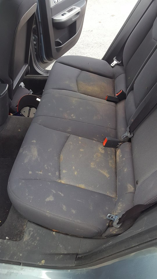 DoggyInterior