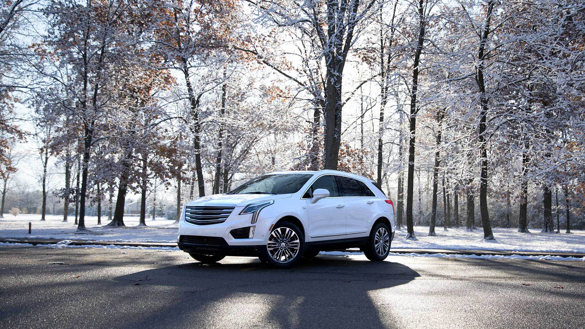 Should I Get My Windows Tinted in the Winter?