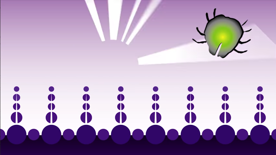 Germ Defender Germ Defender