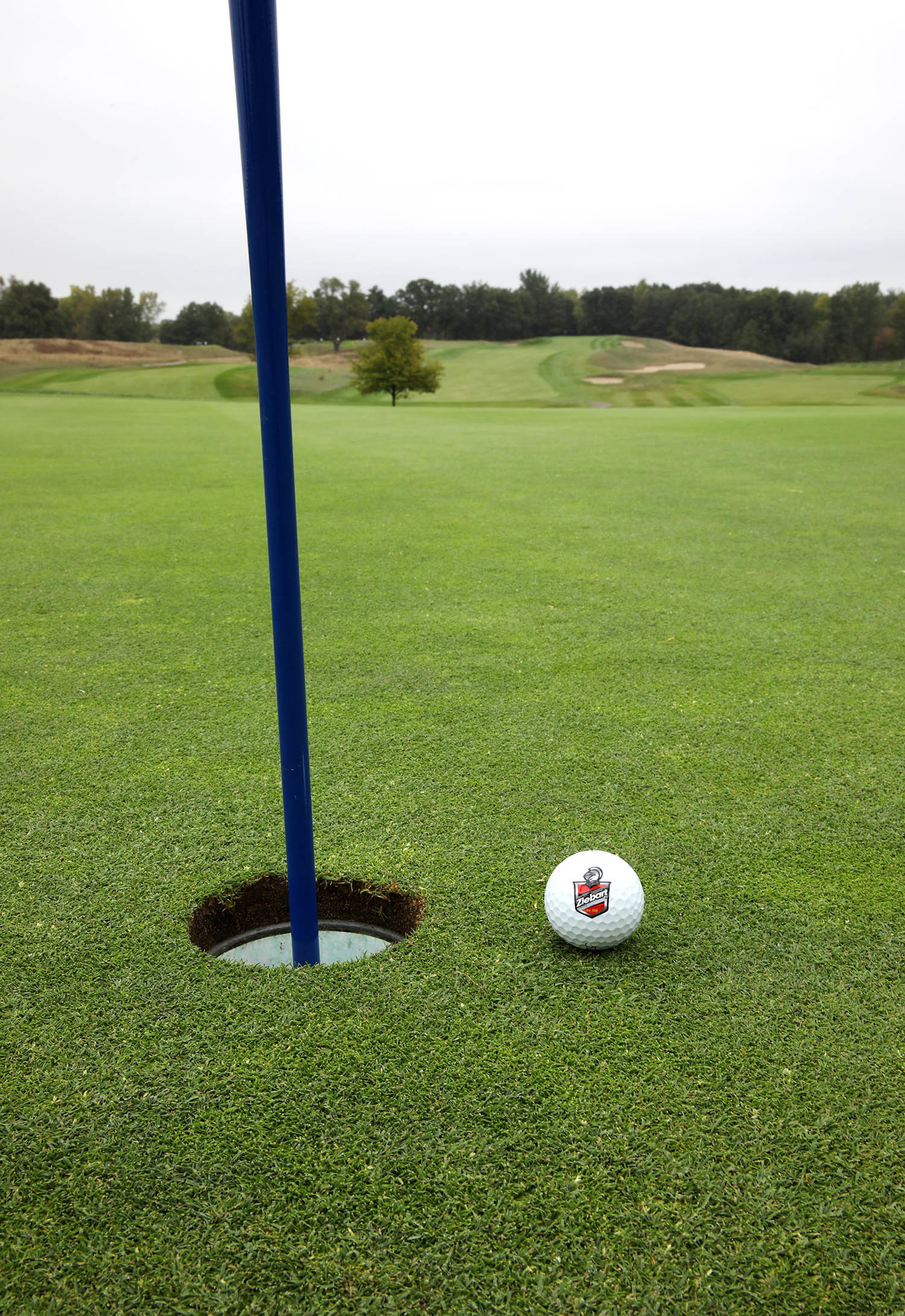 Ziebart Raises over $12,000 at Golfing Fore a Cure Outing Benefiting Journey4ACure