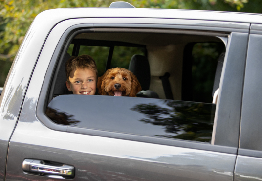 Child and Dog in Truck