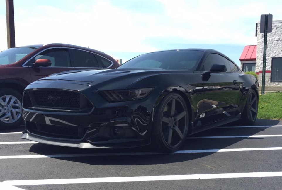 mustang
