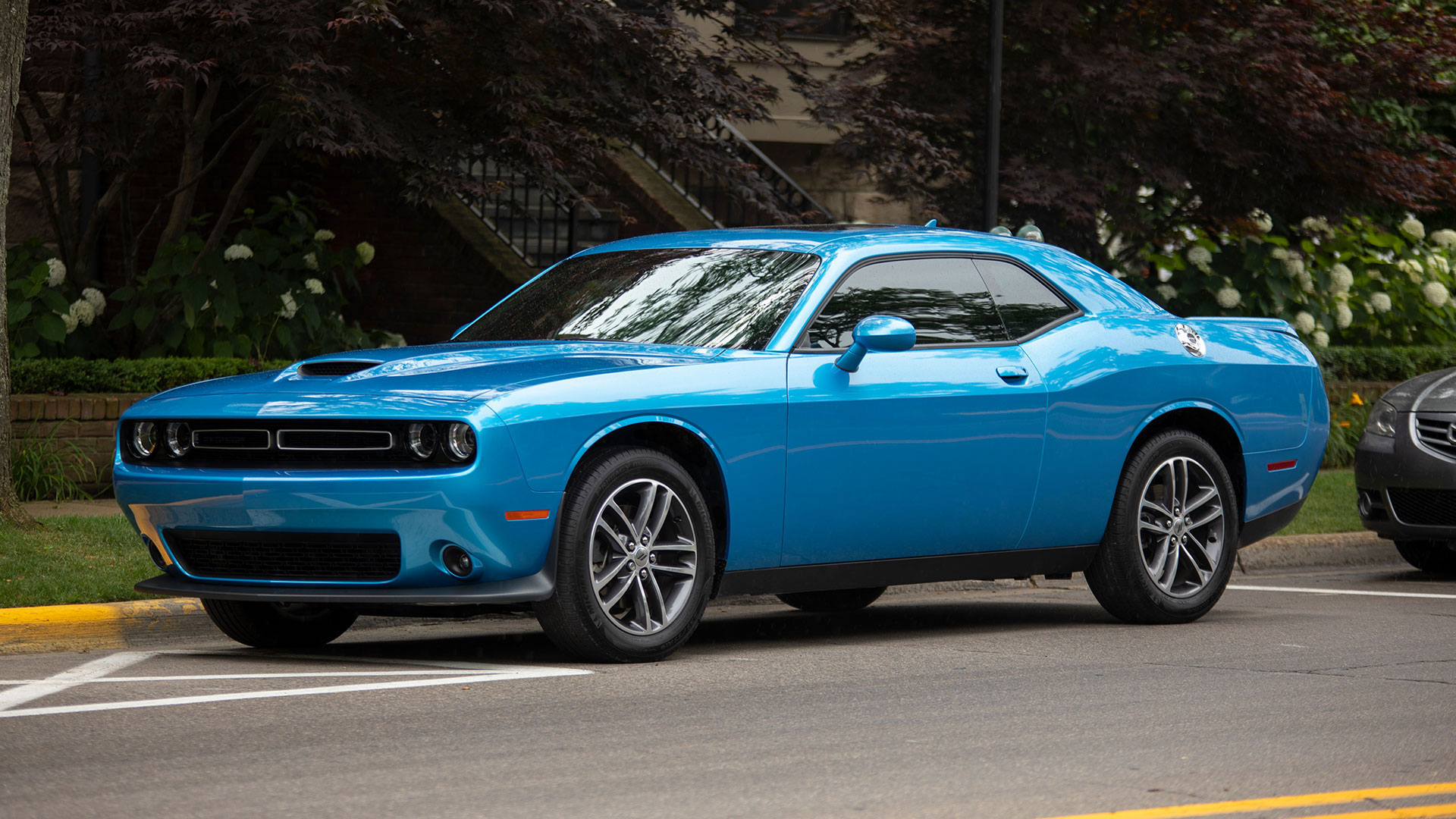 paint correction polishing process ziebart protect investment