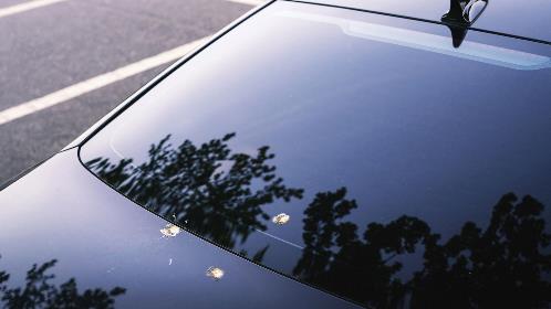 windshield film protection ziebart