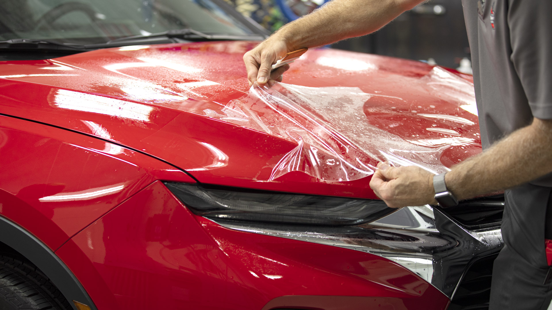 Paint Protection Film