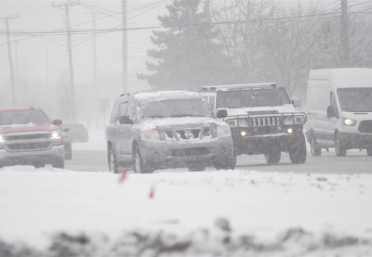 Which Everyday Elements are Harmful to Your Paint?