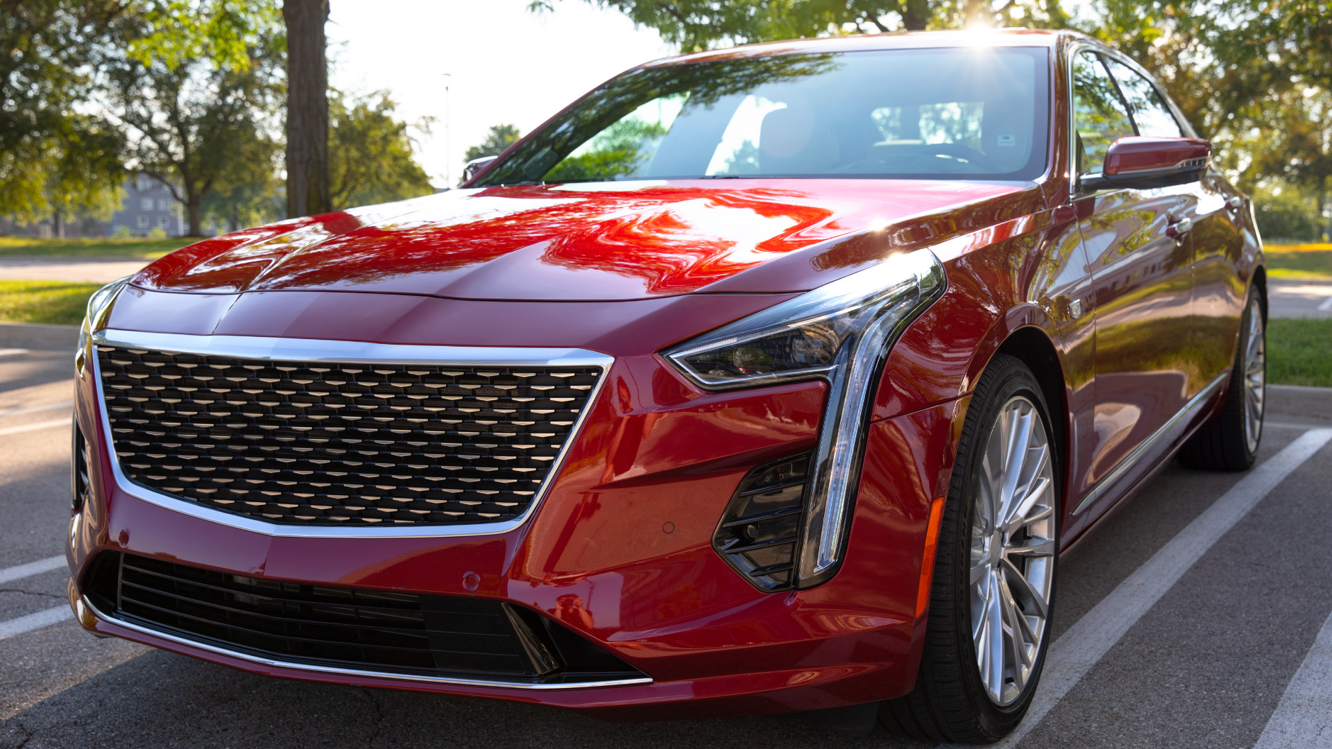 Diamond Gloss Paint Protection 7