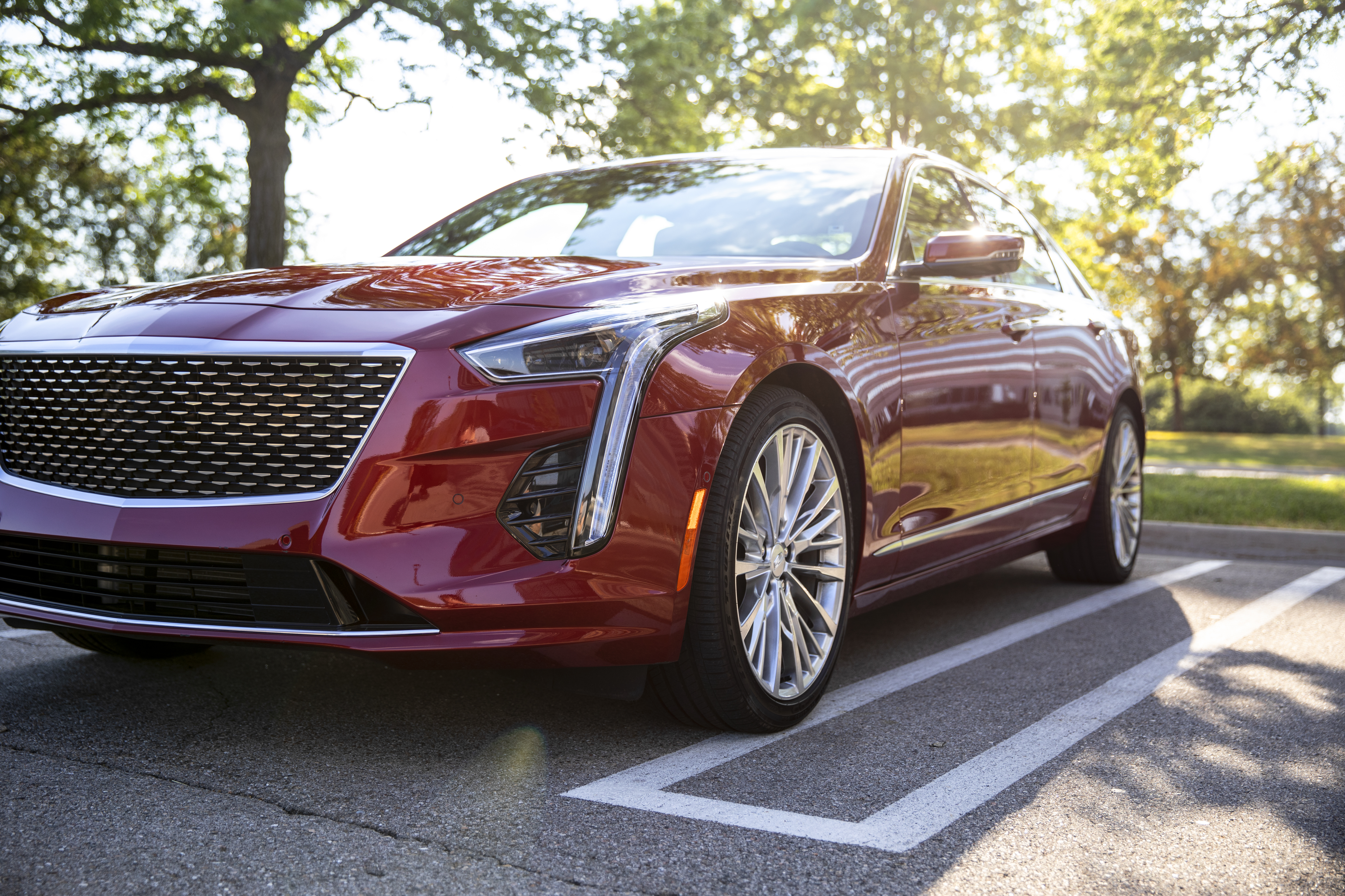 Ziebart's Strategic Partnership with Brokers: A Catalyst for Franchise Growth