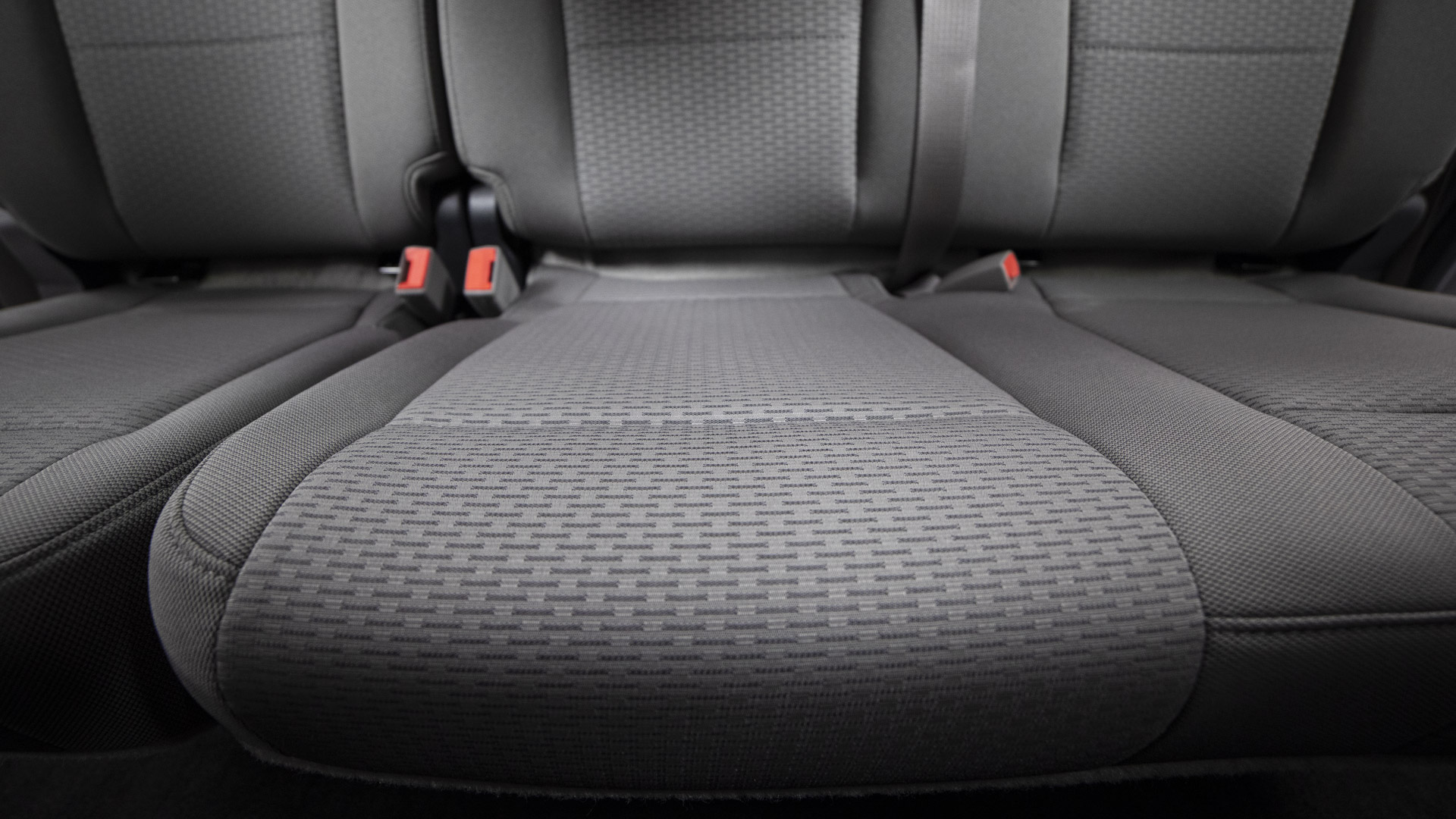 Protect Your Car & Your Pet on Summer Road Trips