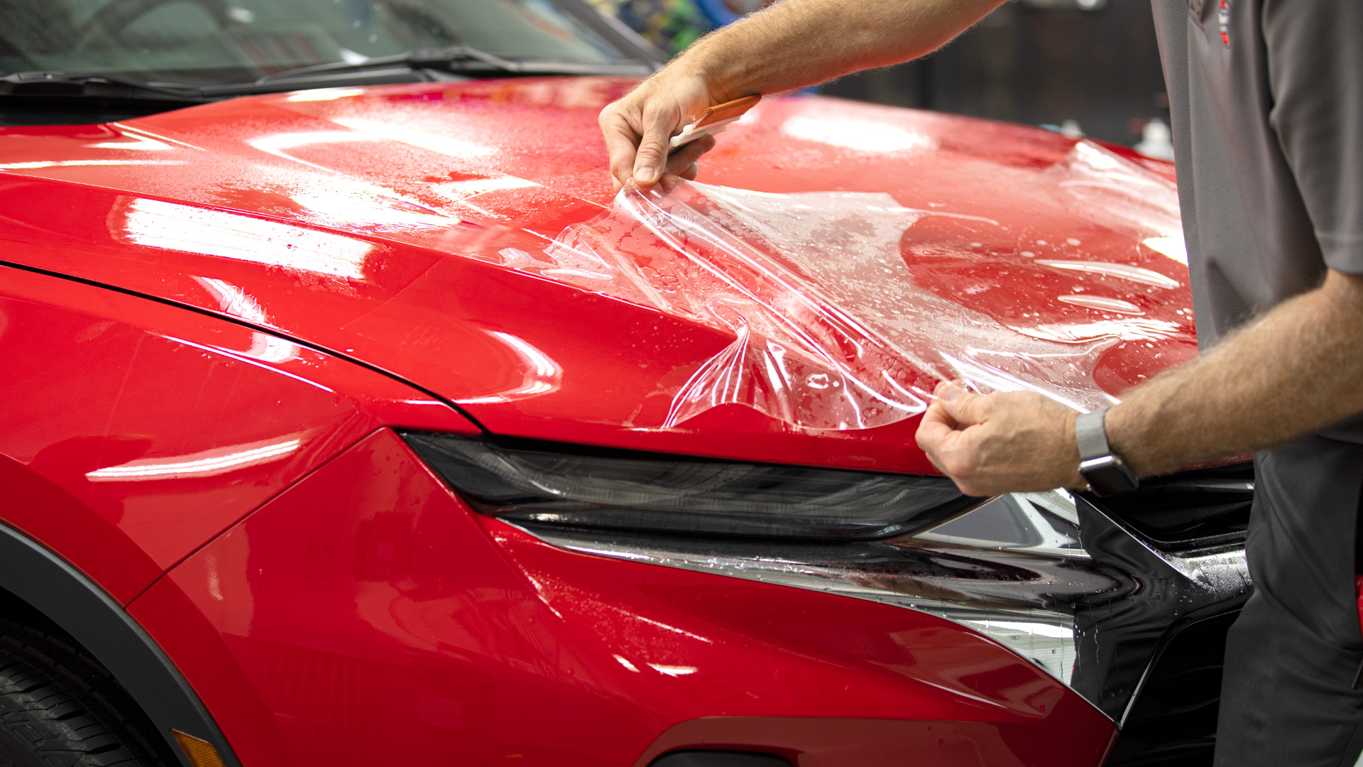 Paint Protection Film: Z-Shield® - Ziebart